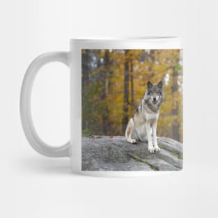 Timber Wolf Mug